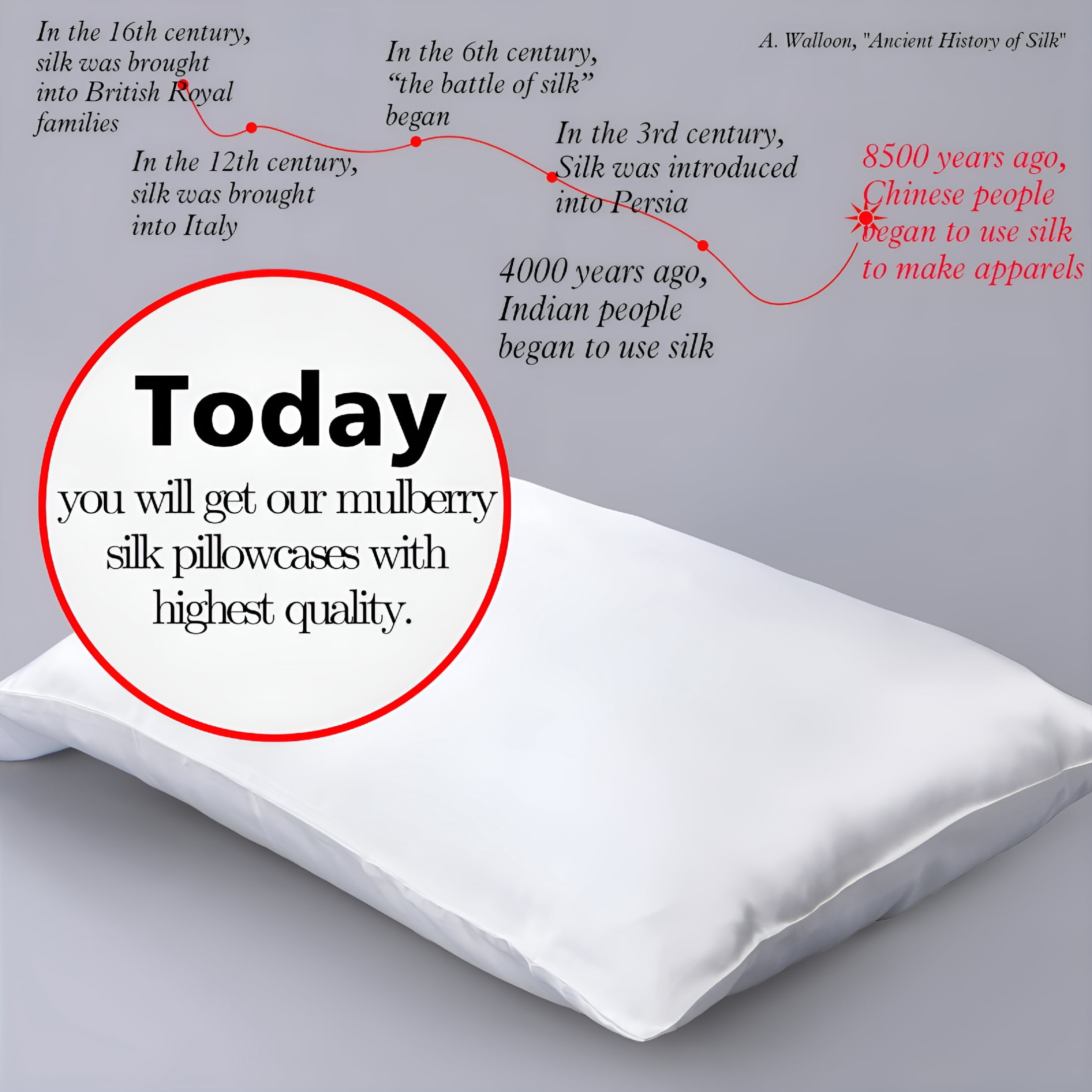 AUQ 2026 New 1 Pack 100% Pure Both Sides Mulberry Silk Pillowcase for Hair and Skin,White Silk Pillow Cases 22 Momme Bed Pillow Case with Hidden Zipper,King,20"X36",White