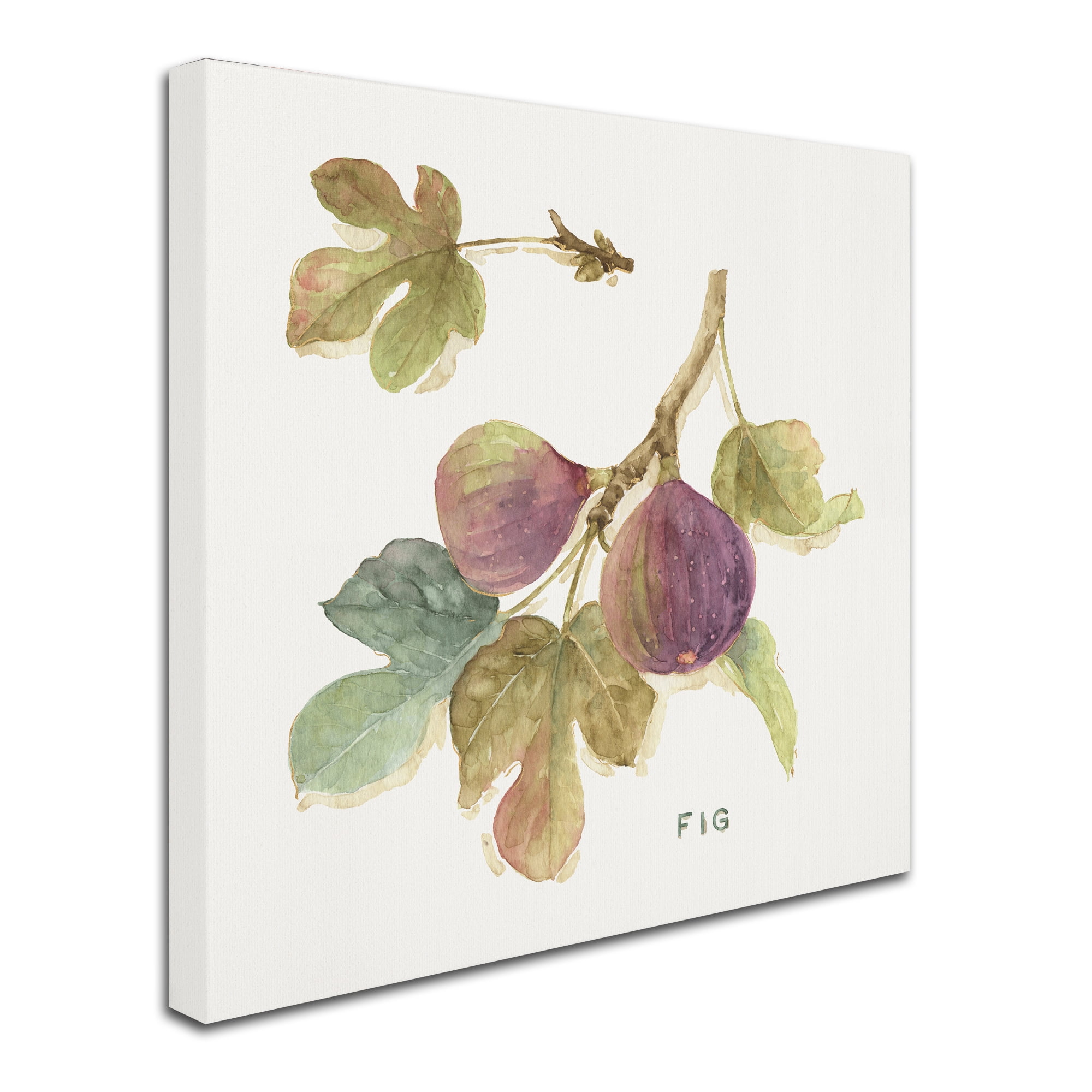 Trademark Fine Art 'Orchard Bloom III' Canvas Art by Lisa Audit