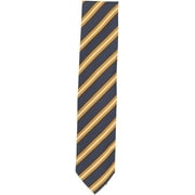 Brioni Men's Diagonal Herringbone Stripe Silk Necktie