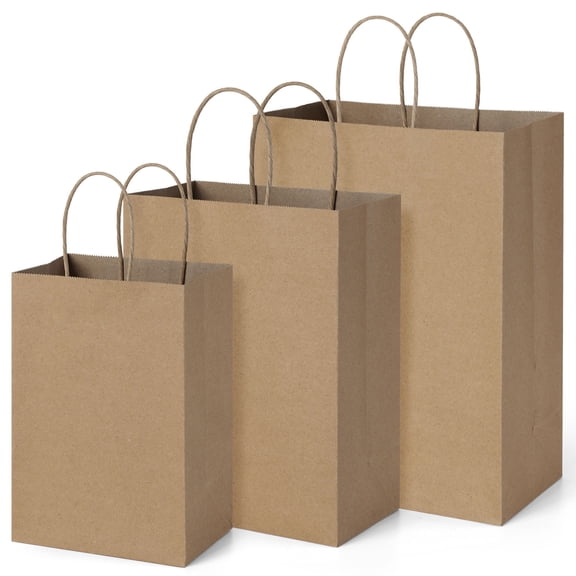 BagDream 75 Pack Brown Kraft Paper Bags with Handles 5x3x8, 8x4.25x10, 10x5x13 Assorted Sizes Paper Gift Bags for Shopping, Weeding, Birthday, Party Favor, Retail Merchandise Bags