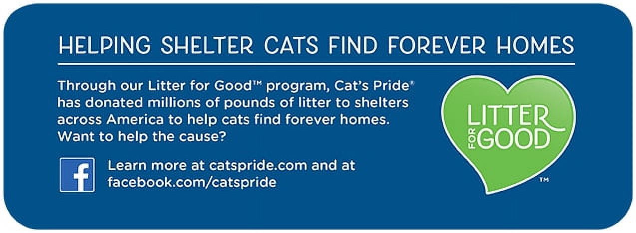 Cat's Pride Fresh & Clean Scented Non-Clumping Cat Litter, 20-Pound Bag