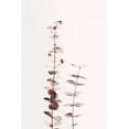 thumbnail image 2 of Artographie Studio 13x18 Black Modern Framed Museum Art Print Titled - Eucalyptus Copper No 02, 2 of 4