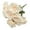 Champagne, variant on Sunjoy Tech 1 Bouquet Artificial Rose Realistic Not Wither No Watering Non-fading Easy to Care 9 Head Photography Props Fake Flower for Desktop