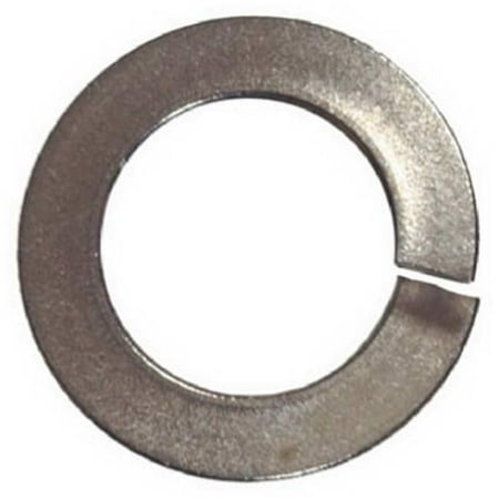

830668 Lock Washer 100