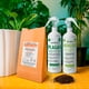 thumbnail image 5 of Kit Plantas Sanas - Nutrientes Preventivos Para Tener Plantas Sanas - The Real Green, 5 of 7