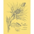 thumbnail image 2 of Vision Studio 12x14 White Modern Wood Framed Museum Art Print Titled - Natures Optimism I, 2 of 4