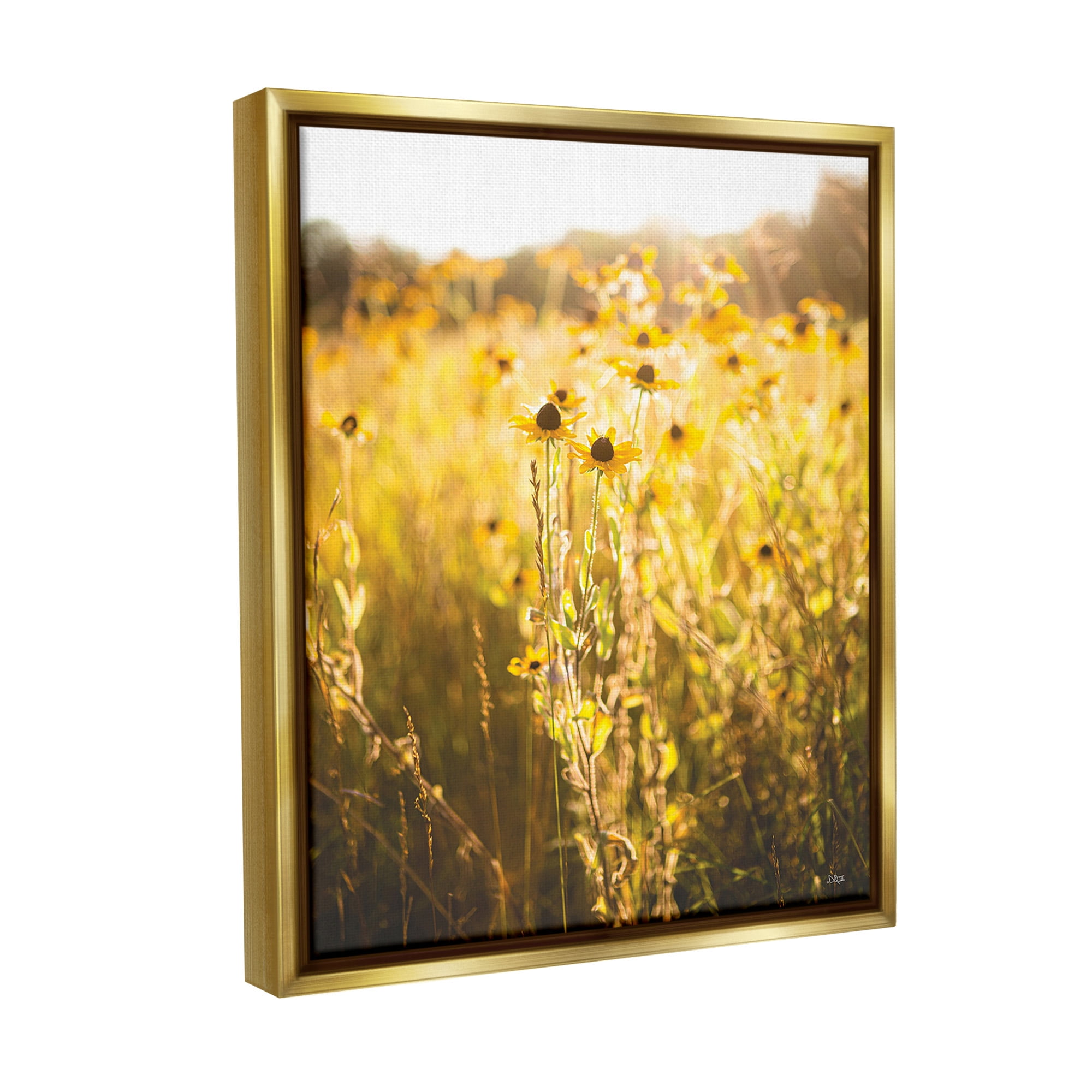 Stupell Industries Sunlit Daisy Meadow Landscape Photography Gold Floater Framed Canvas Art Print Wall Art, 25 x 31