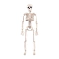 thumbnail image 2 of de Halloween Modelo Articulaciones ajustables horrible Boceto Sunnimix  Halloween Skeleto, 2 of 4