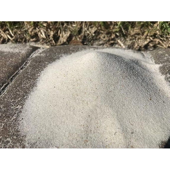 1lb Bag of FINE Sand Filtered Mesh 1mm (1 lb, Fine)