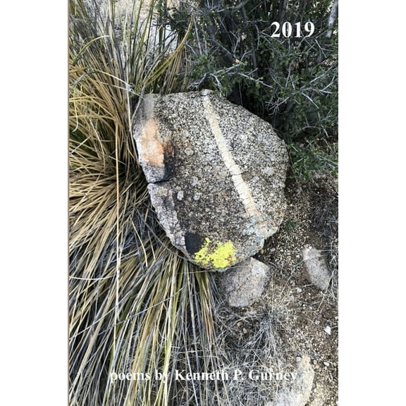 2019: poems by Kenneth P. Gurney (Paperback)