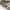 White/M, variant on TOPRenddon Yard Fence Small Fence Mini Fence Fence Small Fence Garden Fence Home Fence, White Plastic Fence Garden Picket Fence Edgings Lawn Flowerbeds Plant Borders Decorative Garden Yard