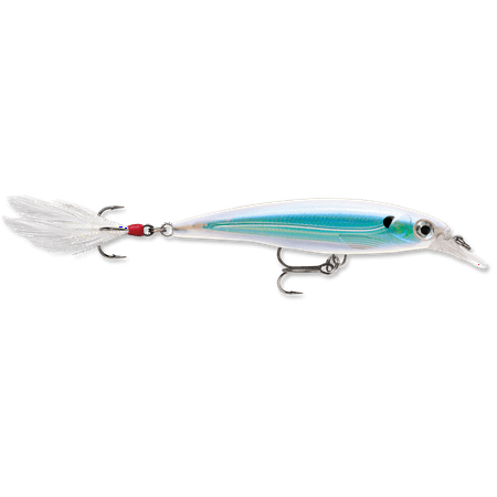 UPC: 0022677193779 | Rapala X-Rap 10 Fishing Lure – Albino Shiner – 4 Runs – 4-6 Depth