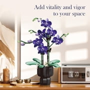 Dyganceuny Purple Orchid Building Blocks Flower Set 666 PCS DIY Artificial Orchid Plant Kit with Pot for Home Office Decor, Botanical Collection Gift for Adults Women