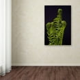 thumbnail image 3 of Trademark Fine Art "Fern Fronds Unfolding II" Canvas Art by Kurt Shaffer, 3 of 3