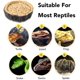 thumbnail image 4 of CalPalmy Paquete de 2 tazones de comida para reptiles - Cuencos de comida novedosos para agua de reptiles y tazones de comida, lagartos, dragones barbudos para bebés, serpientes para bebés y más - Hechos de plástico no tóxico, sin BPA Ormromra WMPH-846-2, 4 of 7