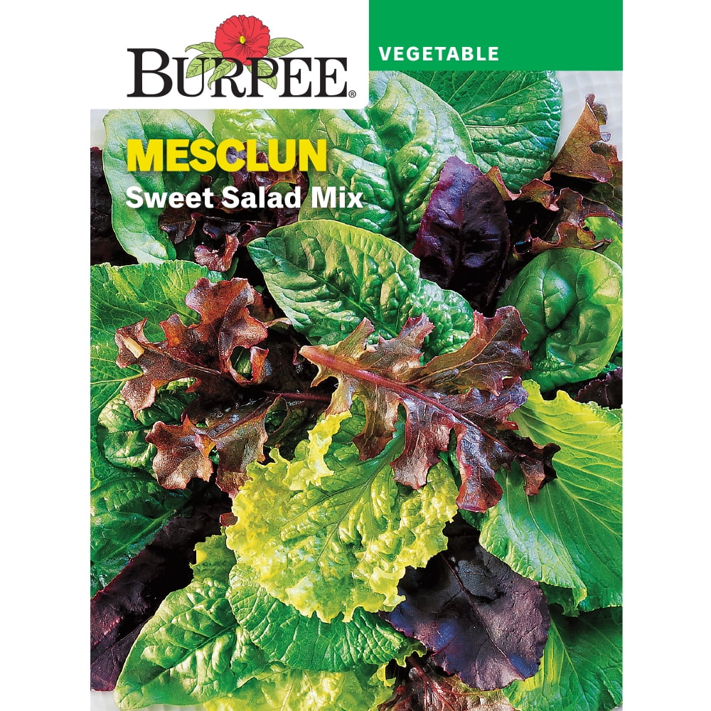 Burpee Sweet Salad Mix Mesclun Vegetable Seed, 1pack