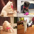 thumbnail image 5 of 5 Pcs Jouet Baguette pour Chat Jouet Interactif pour Chat Poisson Ruban Coloré Amusant Jouet pour Chaton Intérieur Chat Chat, 5 of 5