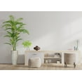 thumbnail image 5 of Vintage Home Artificial Real Touch 6.67 Feet Palm Tree With Fiberstone Planter, 5 of 5