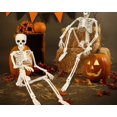 thumbnail image 4 of Small Halloween Skeleton 16" Full Body Halloween Skeleton Decor With Movable Joints Indoor Decorations, 4 of 9