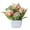 Flesh Pink, variant on Dengjunhu Artificial Potted Flowers, Fake Plant Small Faux Potted Plants, Artificial Small Flower in Pot for Home Office, Dining Room Farmhouse Table Centerpieces Decoration