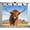 5x3ft, variant on Fabric Highland Cattle Field Blue Sky Backdrop(Suitable for Home Decoration, Animal - Themed Photoshoots, and Nature Events)Animal Style Fabric Banner