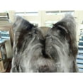 thumbnail image 4 of Plutus Brandy Ash Handmade Throw Pillow, 4 of 4