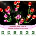 thumbnail image 3 of Tikeitoo Solar Tulip Lights Outdoor Flower Garden Lights with Bendable Stems - IP65 Waterproof 800mAh for 12H Lighting - Auto On/Off Garden Decor - Gifts for Mom, 3 of 9