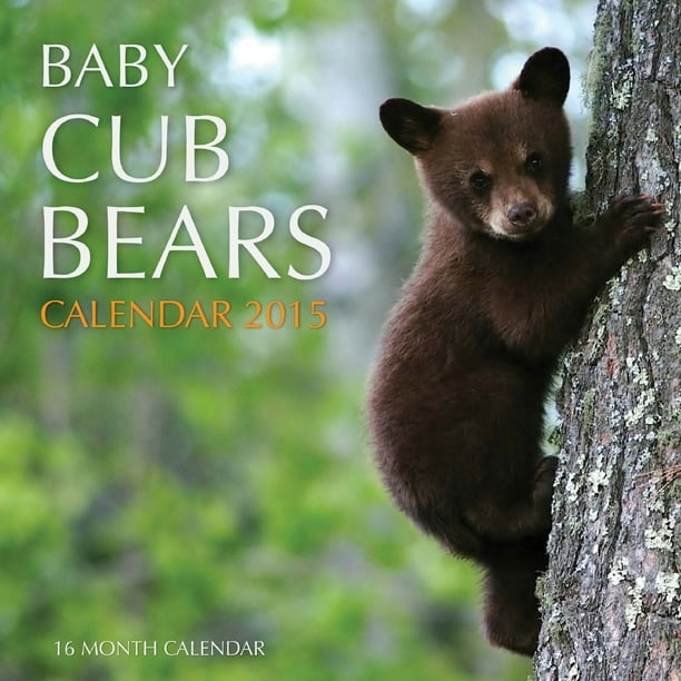 Baby Cub Bears Calendar 2015 16 Month Calendar (Paperback) Walmart