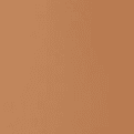 41 Tan Neutral