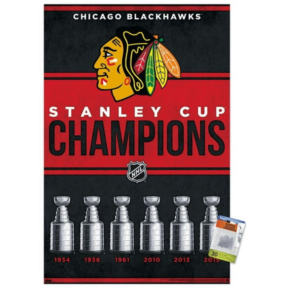 NHL Chicago Blackhawks - Champions 23 Wall Poster with Push Pins, 22.375" x 34"