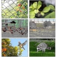 thumbnail image 4 of 15m X 15m Bird Protection Net Bird Net Plant Net Pond Net Garden Net For Garden,5 X 5 Cm Large Holes,2024 Ping 26-27s, 4 of 5