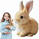 thumbnail image 1 of Interactive Plush Electric Rabbit Toy By Hopping Bunny, 1 of 5