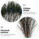 thumbnail image 4 of 10 plumas de pavo real naturales, accesorios para manualidades, decoración de bodas, 4 of 8
