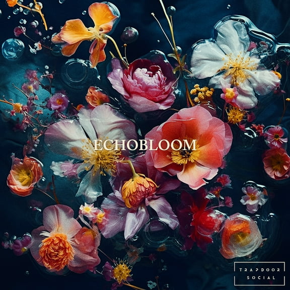 Trapdoor Social Echobloom CD