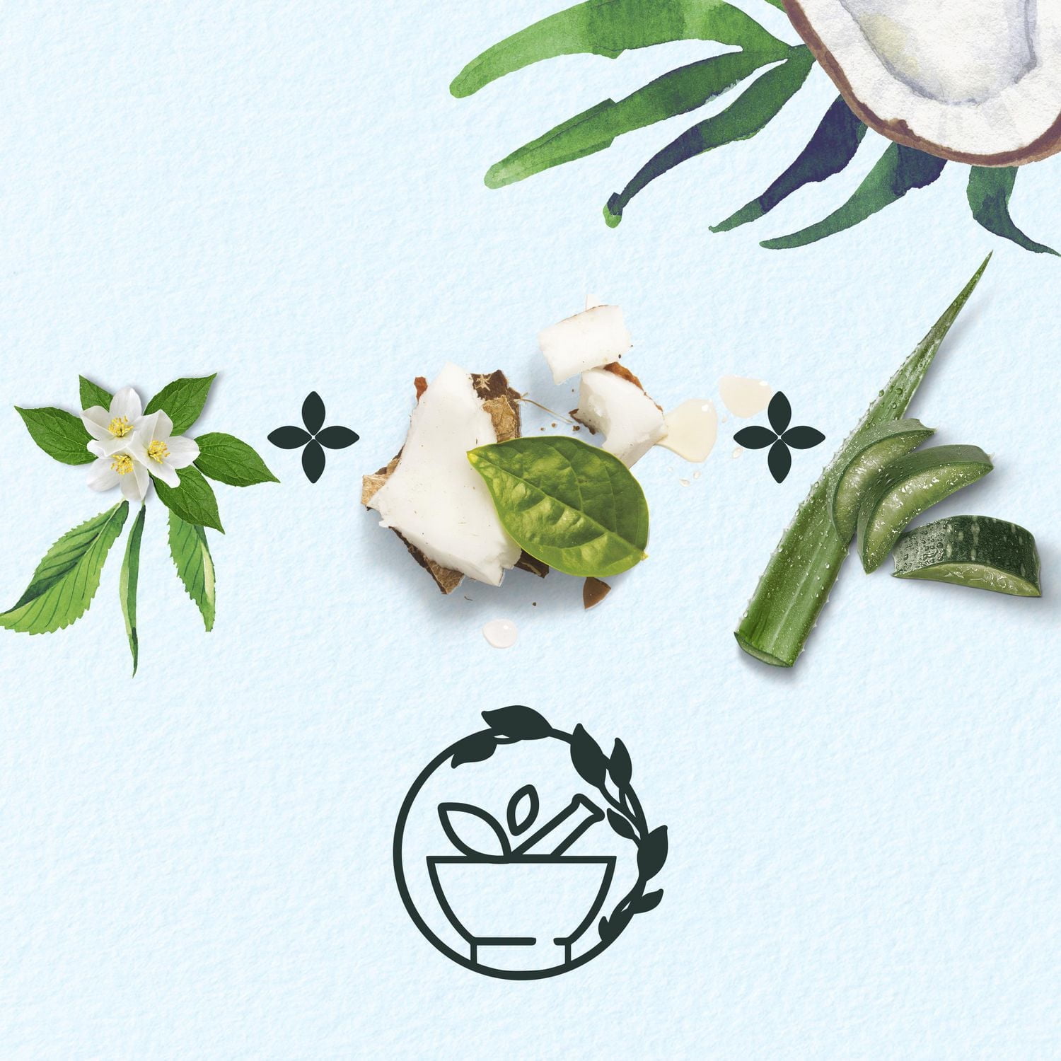 Herbal Essences Classics Hydrate Coconut Water & Jasmine Shampoo, 400 mL