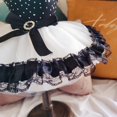 thumbnail image 4 of Vestido de princesa para perro, vestido de tutú de tul, falda de cachorro, vestido de novia de encaje con ropa de lazo para perros pequeños y medianos, fiestas de Navidad de Halloween (S), 4 of 5