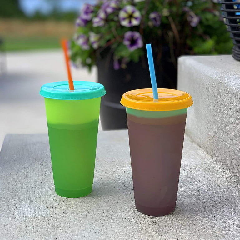 16 oz Reusable Plastic Cold Drink Cups, 6 Pack, BPA-Free Dishwasher Safe  Color Changing Tumblers with Straws & Lids 
