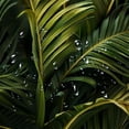 thumbnail image 5 of Orinice Tropical Palm Leaf Shower Curtain Dark Green Golden Banana Leaves Bathroom Tropical Jungle Palm Tree Hawaiian Bathroom Decor Set with12 Hooks 60x72, 5 of 7