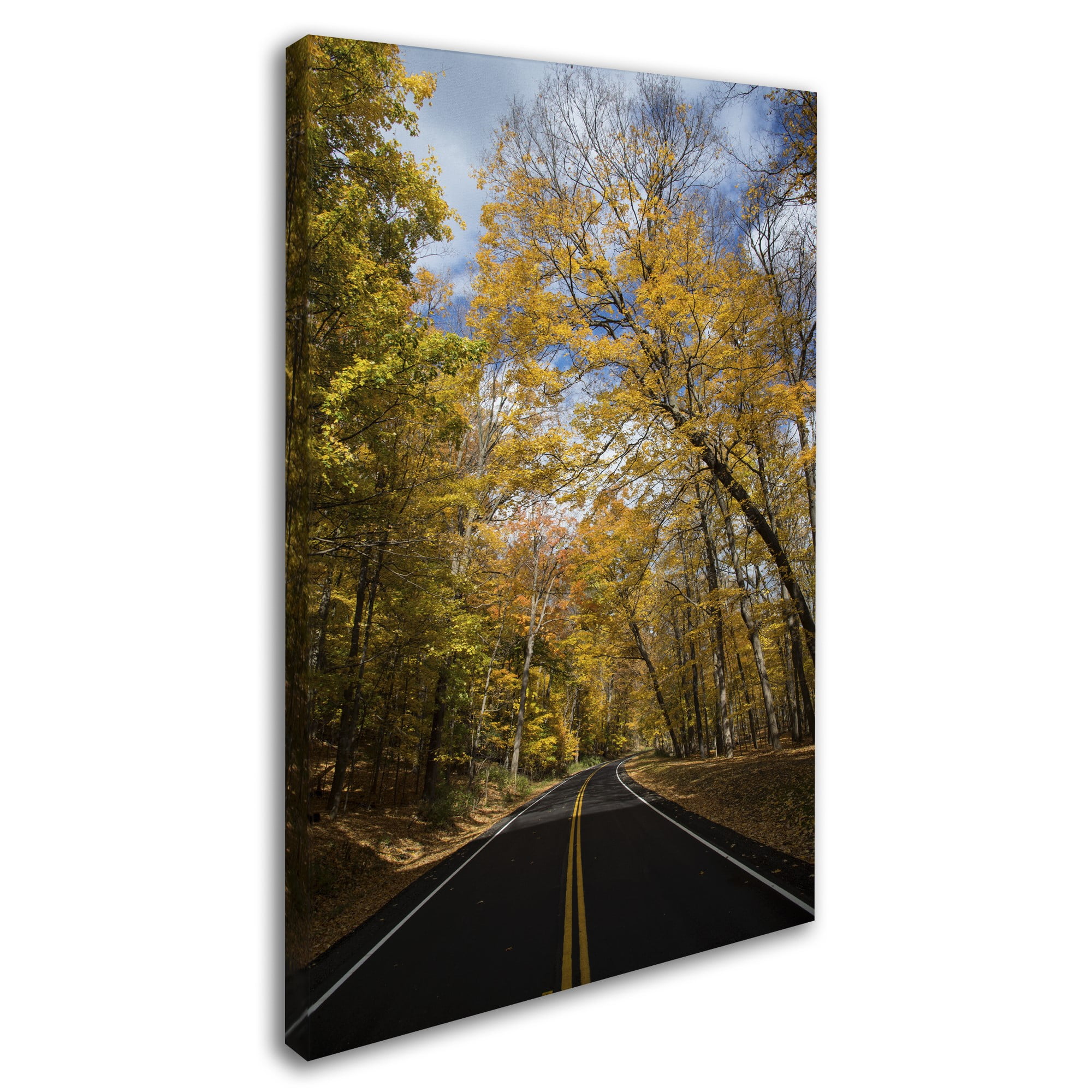 "Autumn Along the Valley Parkway 2" Canvas Art by Kurt Shaffer