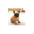 thumbnail image 2 of HI-LINE GIFT LTD. FRENCH BULLDOG PUPPY, 2 of 2