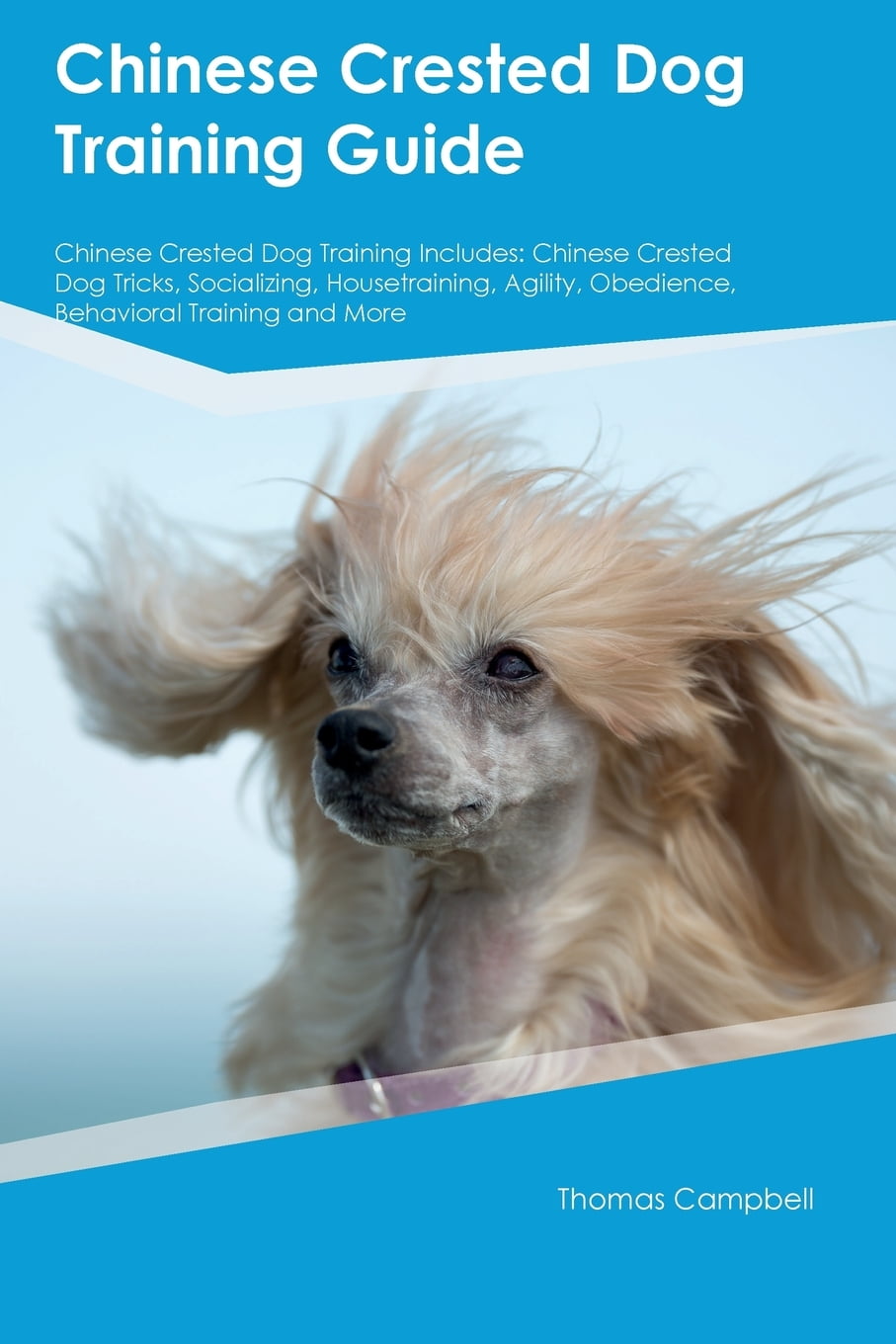 Are Chinese Crested Dogs Hard To Potty Train