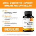 thumbnail image 5 of SANDHU'S Zinc with 200mg Quercetin, 500mg EpiCor® (Fermentate) - Year-Round Immune Support Wellness, 30 Servs, 5 of 8