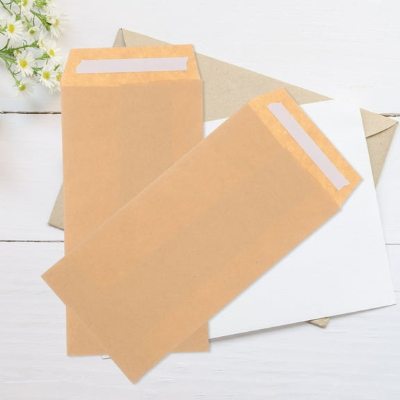 PBPBOX 100Pcs Small Envelopes for Seeds Kraft Blank Khaki Envelopes Money Storage Packets