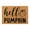 Summer Door Mat 2486, variant on Yeetfub Door Mat Funny Mats Welcome Mats for Front Door Mat Non Slip Mats Happy Decorative Seasonal Fall Party Floor Mat For Home Indoor Outdoor 16 X24 Inch
