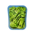 Bowery Farming Baby Butter Lettuce, 4 oz Clam Shell, Fresh Salad