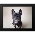 thumbnail image 2 of Sabo, Susan 14x12 Black Modern Framed Museum Art Print Titled - Bailey, 2 of 5