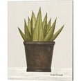 thumbnail image 3 of Great Art Now Potted Aloe Vera & Cactus by Linda Spivey 4 Piece Canvas Art Set Each 12"W x 15"H, 3 of 5