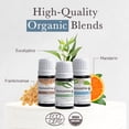 thumbnail image 3 of Pranarom - Meditation Diffusion Essential Oil Kit (3-Pack of 5ml) - Meditation, Zen, and Purity Essential Oils - 100% Pure Essential Oil | USDA and ECOCERT Certified Organic, 3 of 4