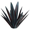 thumbnail image 1 of Inteprter 9 piezas de hojas de DIY planta de arte del hierro escultura decorativa estatua hoja favores de fiesta para jardín accesorios de estacas Decoración del hogar color del hielo marino Inteprter HA004436-04, 1 of 6