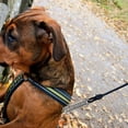 thumbnail image 4 of OULII Dog Running Leash Shock Absorbing Dog Chain Stainless Steel for Dog Owners 1Pcs, 4 of 8